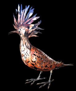 Hoopoe Bird by Toin Adams