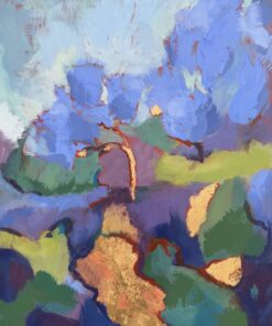 Jacaranda Mimosifolia